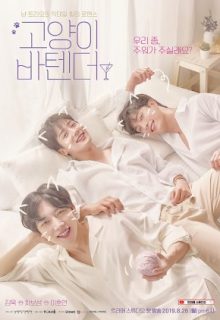 Cat’s Bar (2019)